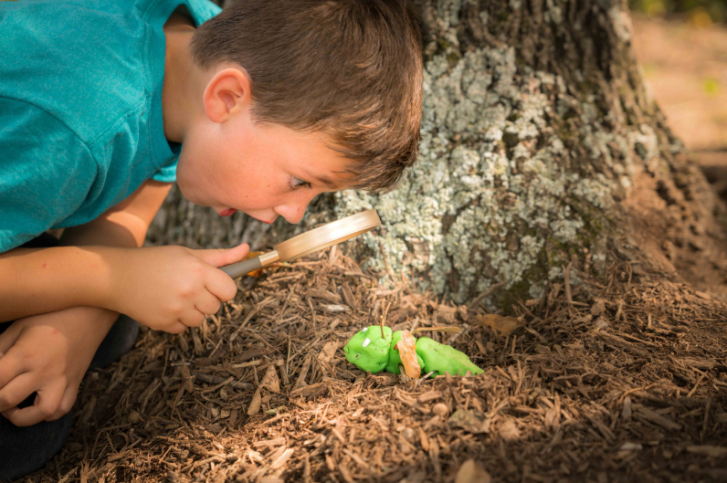 st. Louis Home Inspections